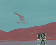 anima3