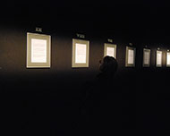 Phony gallery 15