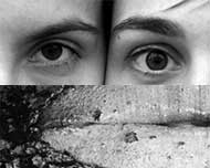 Re_humanisation