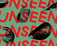 Unseen